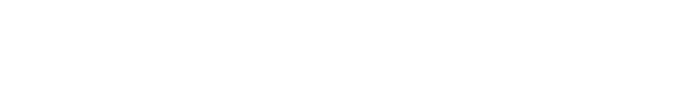 Transfer Flow logo
